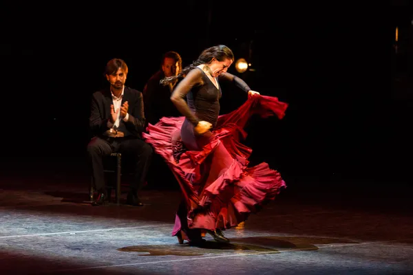Flamenco vignette.jpg